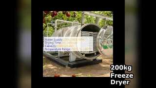 Satılık 200kg Endüstriyel Dondurarak Kurutucu
