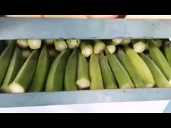 Ev tarzı vakum dondurucu kurutma makinesi