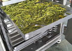 dondurucu dondurucu kurutma makinesi dehidrat dondurucu kurutulmuş gıda dehidratörü dondurucu kurutucu