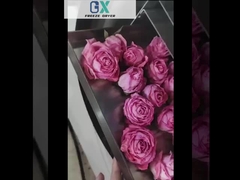 Gıdalar için endüstriyel dondurma kurutma makinesi