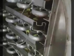 Laboratuvar Dondurucu 304 SS Odası & Bosch Vakumlu - Hassaslıklı Liyofilizör