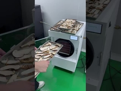 Dondurulmuş kuru meyveler