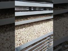 İzle: Dayanıklılık için Tasarlandı: Az Bakım Gerektiren Endüstriyel Dondurarak Kurutucu İşleme Vitrini