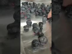 İzle: Yüksek Değerli İçerikler için Endüstriyel Liyofilizatör Hassas Kurutma Toplu Sözleşme tekli