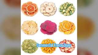 Endüstriyel Dondurarak Kurutucu 100KG Ticari Terazi