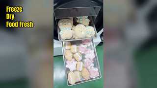 Ana Sayfa Dondurarak Kurutucu Yiyeceklerin Tazeliğini Koruyun