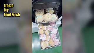 ev tipi dondurarak kurutucu