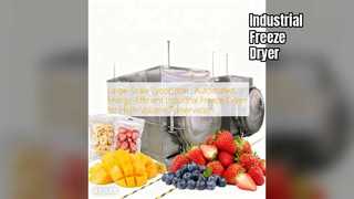 Endüstriyel Dondurarak Kurutucu: Yüksek Hacimli Koruma