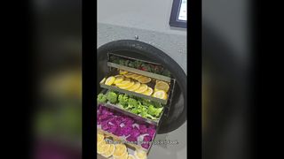 Uzun Süreli Gıda Depolama için Ev Dondurarak Kurutucu