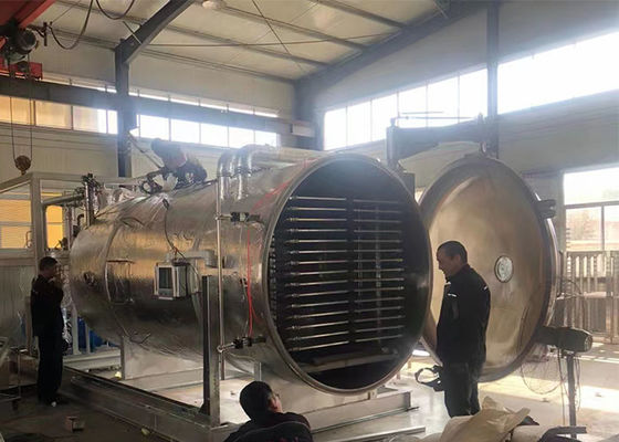Hava Soğutma 50Kg 100Kg Endüstriyel Sebze Gıda Vakum Dondurucu
