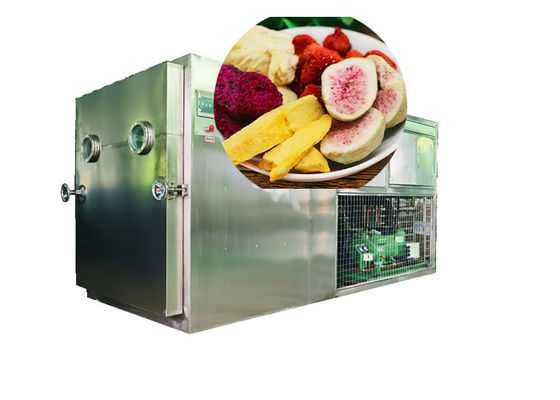 100Kg 200Kg PLC Kontrollü Liyofilizör Gıda Vakum Dondurucu