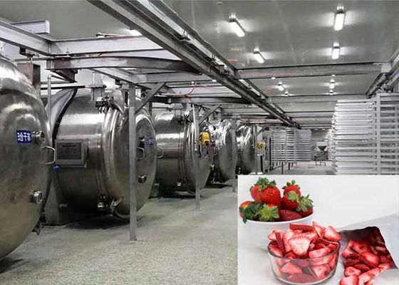 100KG Gıda Vakum Dondurucu Endüstriyel Dondurucu Dondurma Ekipmanı