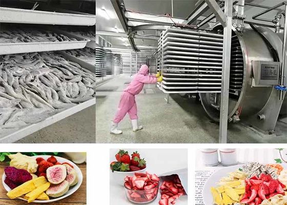 PLC Kontrollü Gıda Vakum Gıda Dondurucu 200kg/parti