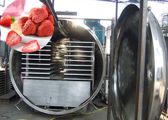 300Kg Vakum Atla Endüstriyel Gıda Sebze Kuru Dondurucu