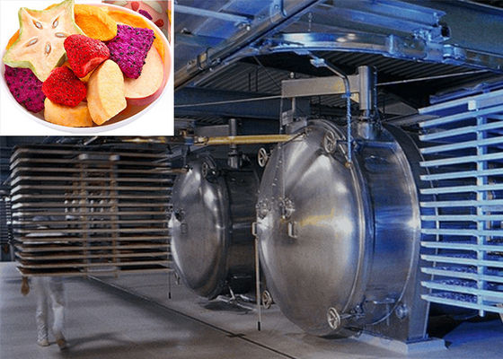Yüksek kurutma performansı için profesyonel 220V / 380V / 3PH gıda vakum dondurucu kurutma makinesi