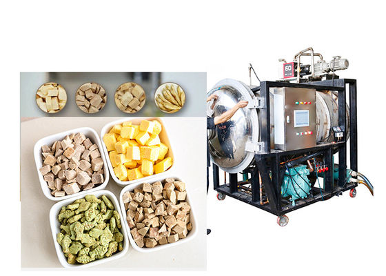 Vakum Endüstriyel Ölçekli Dondurucu 300Kg