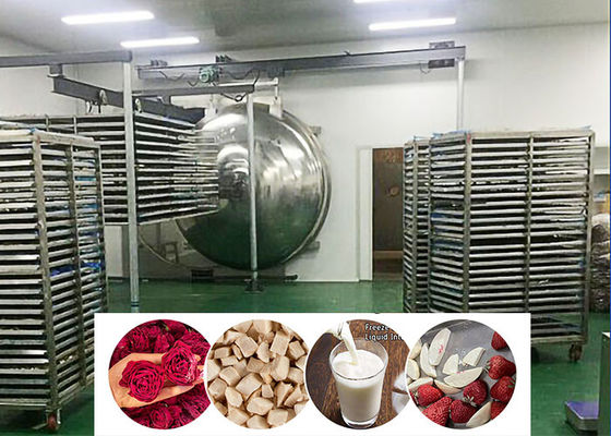 Vakumlu Gıda Endüstriyel Dondurma Kurutma Makinesi 200 Kg/Lot