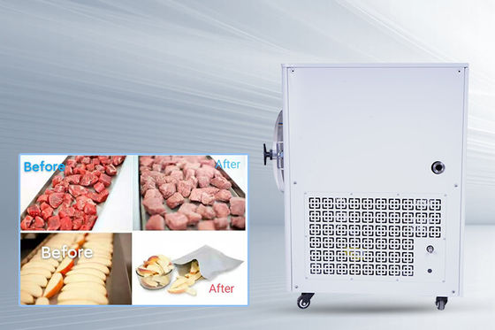 -50C- 50C Tempe Mini Dondurucu 10kg / parti Hava soğutulmuş