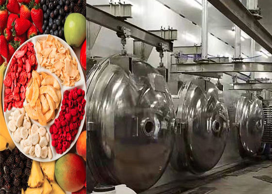 Endüstriyel Gıda Vakum Dondurma Kurutma Makinesi 304 Paslanmaz Çelik