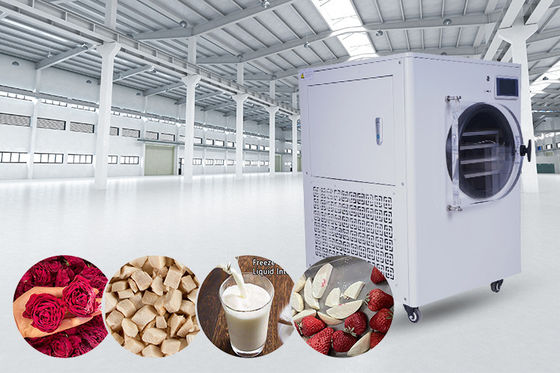 Mini Gıda Ev Dondurma Kurutma Cihazı 6Kg 8Kg 10Kg
