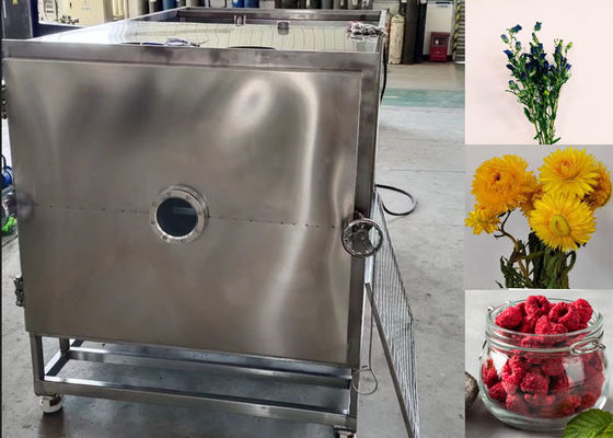 100Kg 200Kg Gıda Vakum Dondurucu Endüstriyel Kurutma Ekipmanı