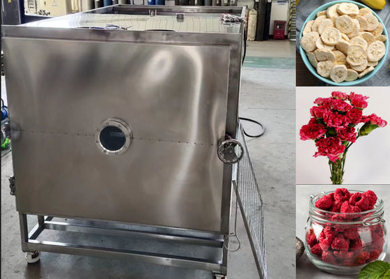Büyük Gıda Vakum Dondurucu Kurutma Makinesi Liyofilizör Ekipmanı