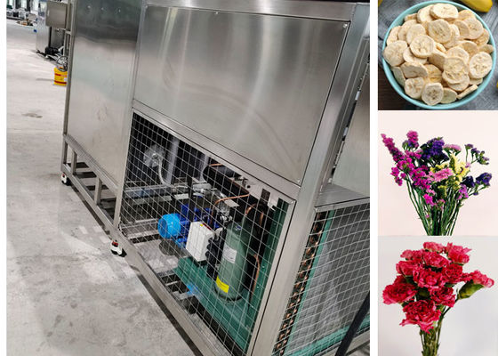 200 kg/parti Kapasite Gıda Vakum Dondurucu Kurutma Makinesi Ekipmanı