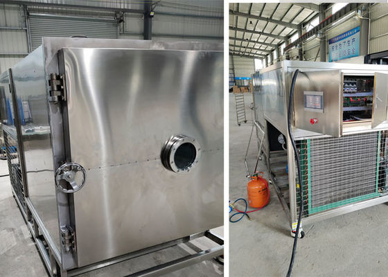 Elektrikli Isıtma Vakum Dondurma Kurutma Makinesi 100Kg 200Kg/parti