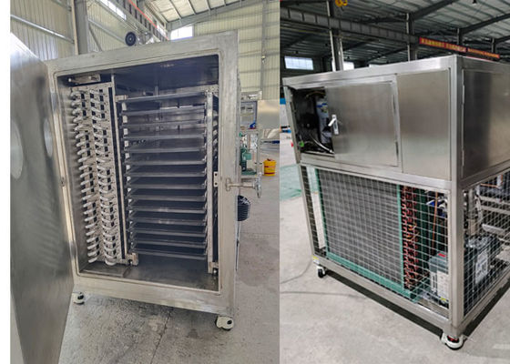 Endüstriyel Lyophilizer Dondurucu Kurucu Makine Bitzer Soğutma Sistemi