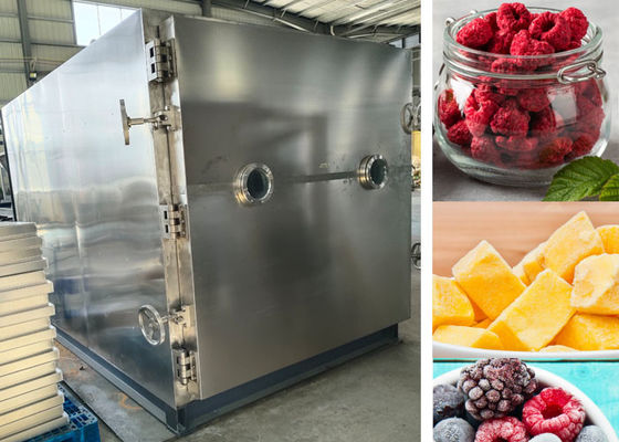 PLC Kontrollü Vakum Dondurma Kurutma Makinesi Liyofilizör Kurutucu 200Kg