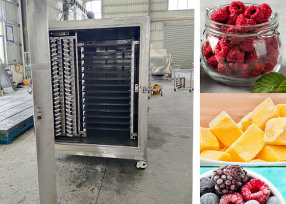 Kompakt Tasarımlı Endüstriyel Vakum Dondurma Kurutma Makinesi