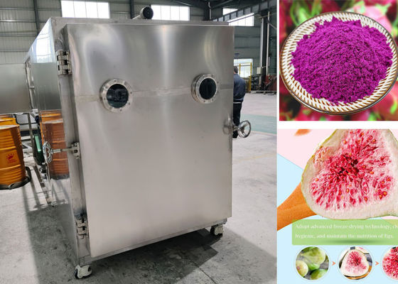 -45C Anne sütü Vakum Endüstriyel Dondurma Kurutma 200kg 500Kg