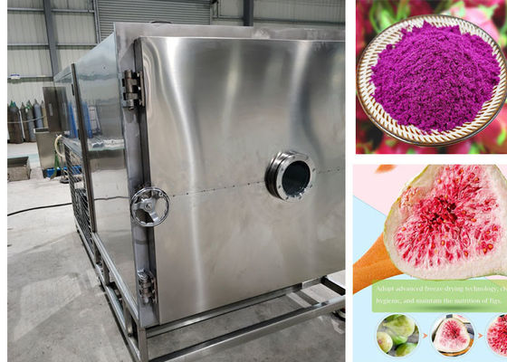 Refcom / BITZER Vakum Endüstriyel Dondurucu Kurucu Liyofizer Makinesi