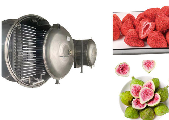 Süt Et Gıda Dondurucu Kurucu Vakum Liyofilizör Kurutma Makinesi