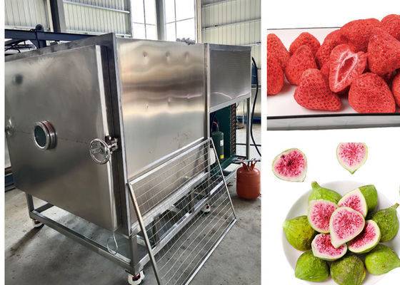 300 kg/parti Büyük Gıda Vakum Dondurucu PLC Denetimli