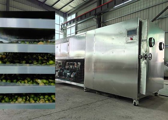Güçlü Bitzer / Leybold Soğutma Sistemi Meyve Dondurucu