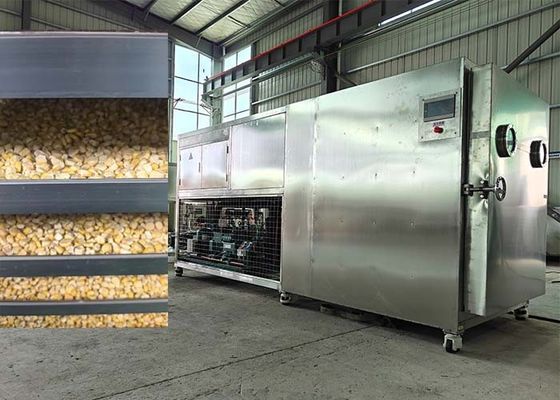 Gıda Dondurucu Kurucu Meyve Makinesi Lyophilizer Kurutma Ekipmanı