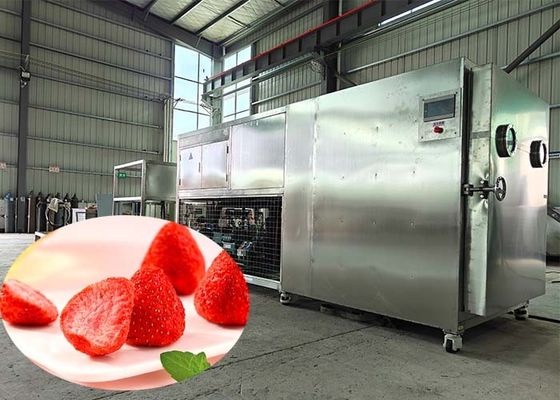 Endüstriyel PLC Kontrollü Liyofilizör Kurucu İlaç Endüstrisi için