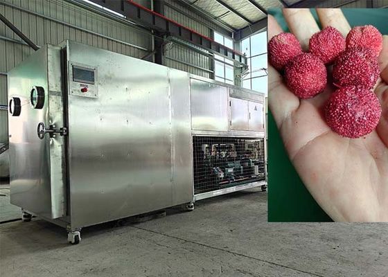 PLC kontrolü vakum dondurma kurutma makinesi 30-35kg/parti