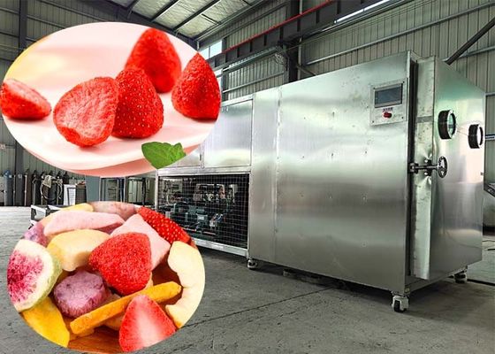 100 kg/parti PLC kontrolü ile dondurma kurutma makinesi lyofilizer
