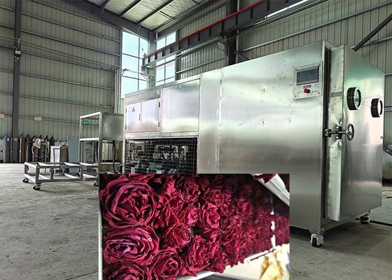 İçecek ve Farmasötik için büyük Endüstriyel Dondurucu
