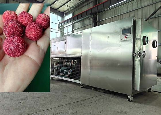 200KG Akıllı Gıda Liyofilizer Dondurma Kurutma Makinesi