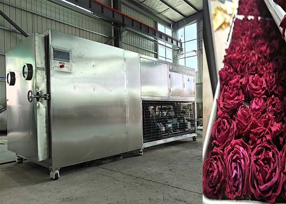 200Kg 500Kg Büyük Kapasite Liyofilizör Dondurucu Makine