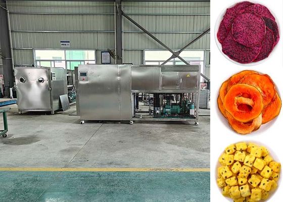 PLC Kontrollü Akıllı Meyve Dondurucu Meyve Makinesi