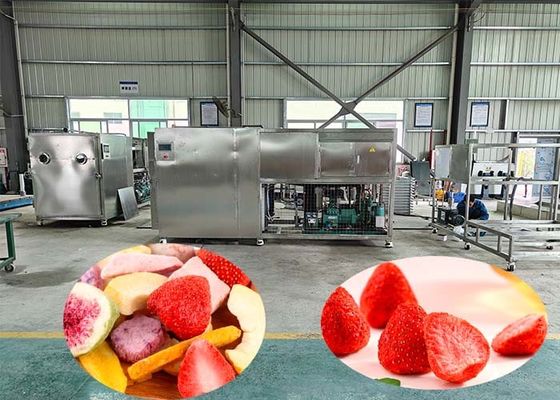 100 kg / parti endüstriyel dondurma kurutma makinesi 60dB ile