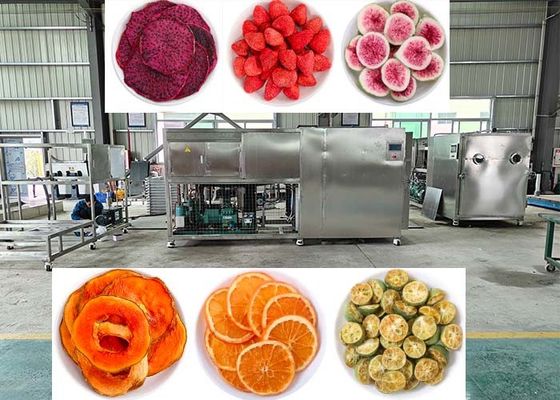 Vacuum 10Pa Dondurucu Kurucu PLC kontrolü ile Liyofilizer Makinesi