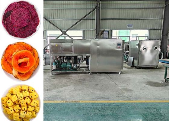En iyi kurutma sonuçları için profesyonel gıda vakum dondurucu kurutma makinesi