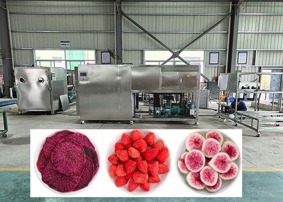 38KW Elektrikli Isıtma Dondurma Lyophilizer Dondurma Makine