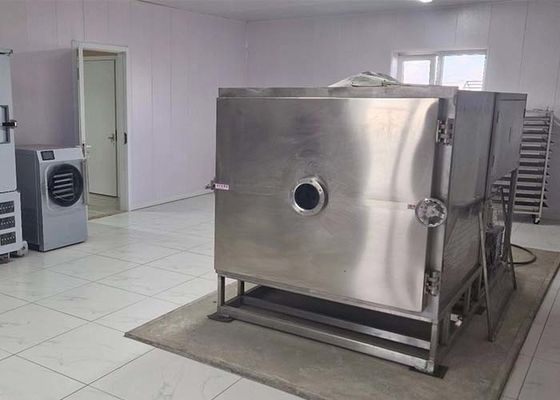 Sebze Dondurucu ile Sebze Kurutma Süresinde Devrim Yapın