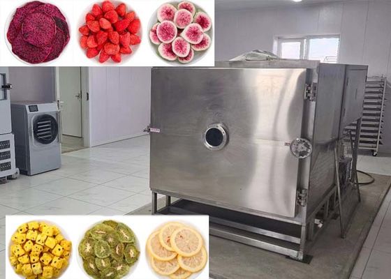 Sebzelerin Dondurma Kurutucusu Sebzelerin Toplu Kurutulması İçin Mükemmel Seçenektir